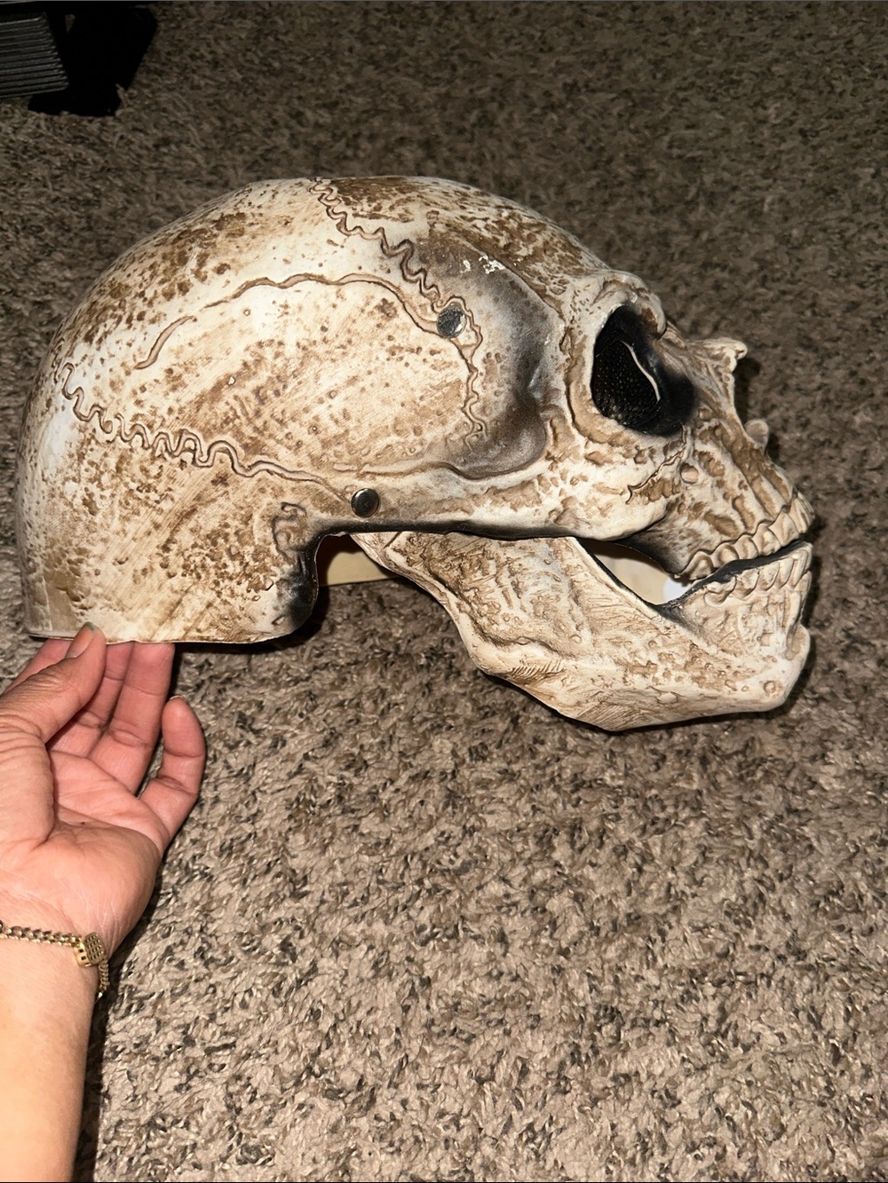 Skull Latex Unbranded Mask, Moving Jaw/ Halloween Mask